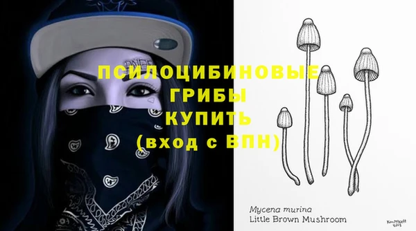 не бодяженный Армянск