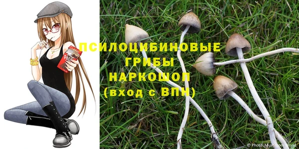 скорость Арсеньев