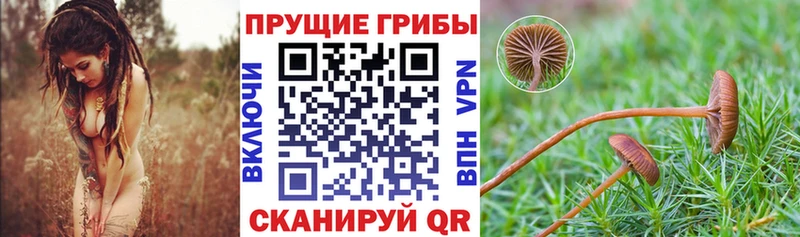 Псилоцибиновые грибы MAGIC MUSHROOMS  где продают   Поронайск 